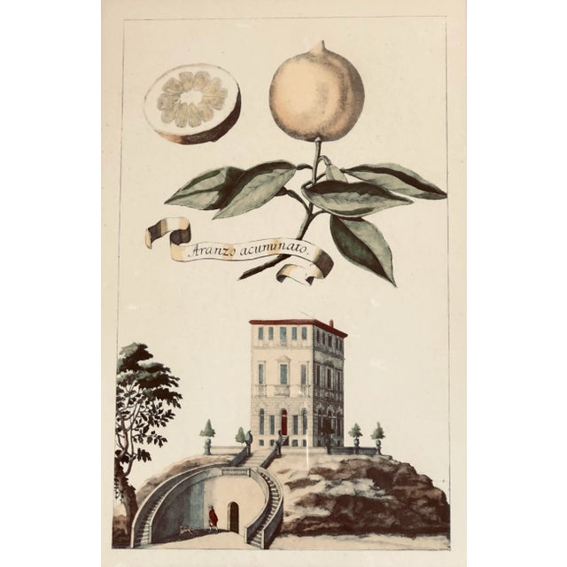 German artist Volkamer made these beautiful illustrations, each with a different Italian architectural landscape at the...