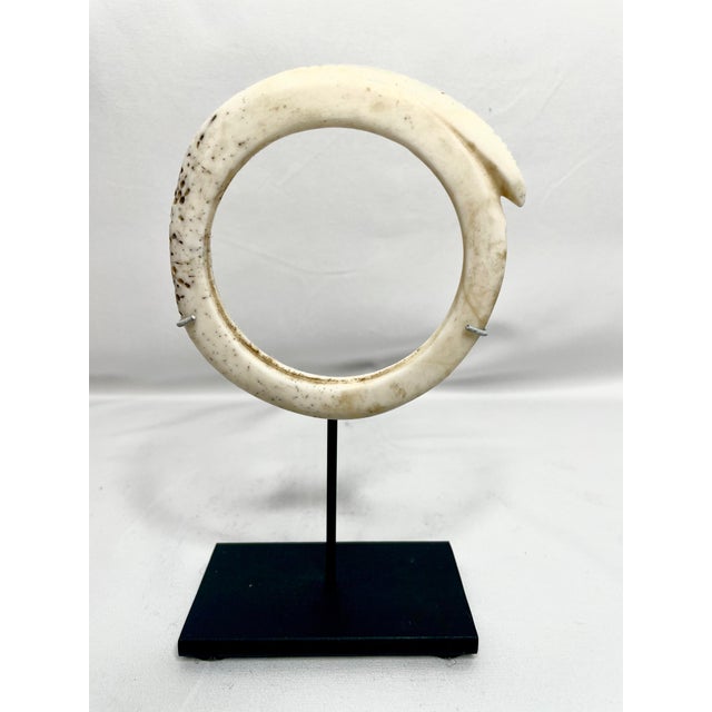 Antique Mounted New Guinea Abelam Currency Shell Rings- a Set of 3 For Sale - Image 9 of 12