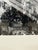 Connie Begg Saint Peter’s Basilica Photograph, Framed For Sale - Image 12 of 12