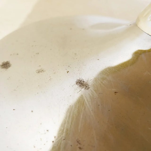 Vintage Swivel Chairs, 1960s, Set of 2 For Sale - Image 12 of 15