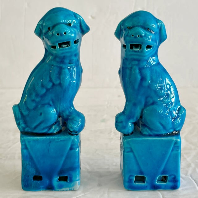 Ceramic Small Asian Turquoise Foo Dogs - a Pair For Sale - Image 4 of 10