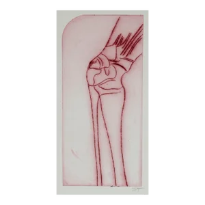Anatomical Study of the Knee 20th Century Etching