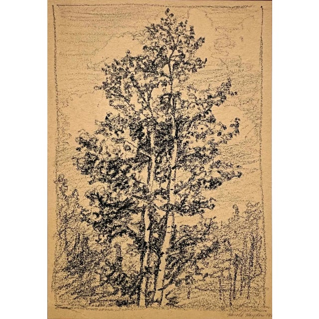 A ca. 1928, graphite on paper drawing of a wooded landscape by artist Harold Haydon. Matted to 12" x 16". Harold Emerson...