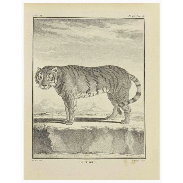 Le Tigre is an etching realized by Jean Charles Baquoy in 1771. It belongs to the suite "Histoire Naturelle de Buffon"....