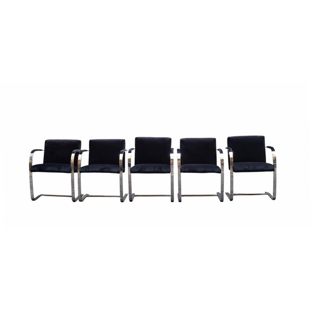 Brno Chairs by Ludwig Mies Van Der Rohe for Knoll, Italy, 1970s, Set of 5 For Sale - Image 6 of 6