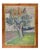 Fausta Settimj, Garden, Oil Painting, Mid-20th Century For Sale