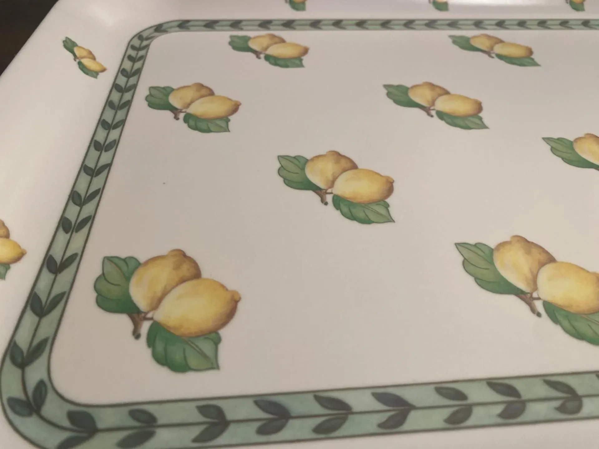 Villeroy&Boch ゼラニウム ディナープレート　ヴィンテージ 廃盤品 Vista Alegre Amazonia ディナープレート