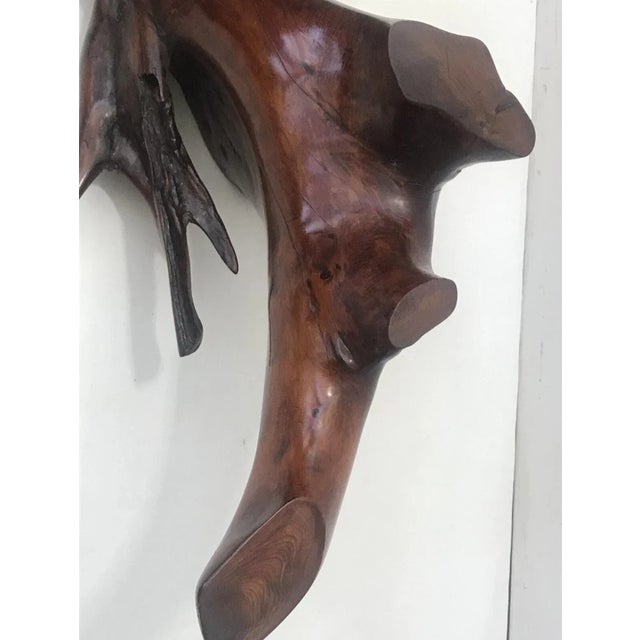 Mid Century Spanish Walnut Root Glass Top Coffee Table For Sale - Image 15 of 15