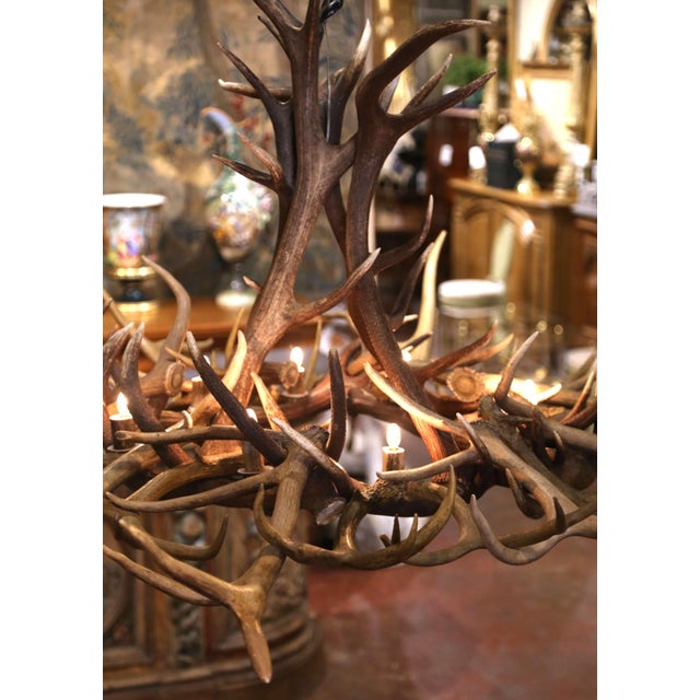 Late 20th Century Vintage American Black Forest Style Elk and Deer Antler Ten-Light Chandelier For Sale - Image 5 of 7