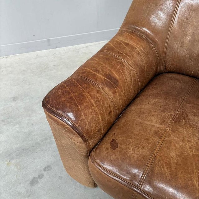 Vintage DS44 Lounge Chair from de Sede, 1970s For Sale - Image 10 of 15