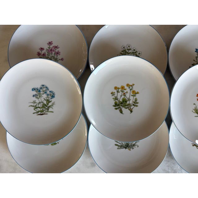 Beautiful set of 12 porcelain lunch or dessert plates featuring botanical floral designs and slim blue accent around the...