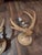 Pair of Faux Antler Wall Sconces For Sale In San Antonio - Image 6 of 8
