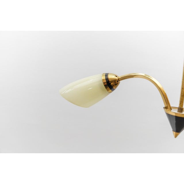 Mid-Century Modern 3-Armed Brass Sputnik Lamp, 1950s For Sale - Image 12 of 15