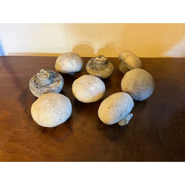 Collection of MidCentury French Composition Stone Models of Mushrooms