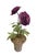 Vintage Toleware Purple Ranunculus Topiary Arrangement in Terracotta Pot For Sale In West Palm - Image 6 of 12