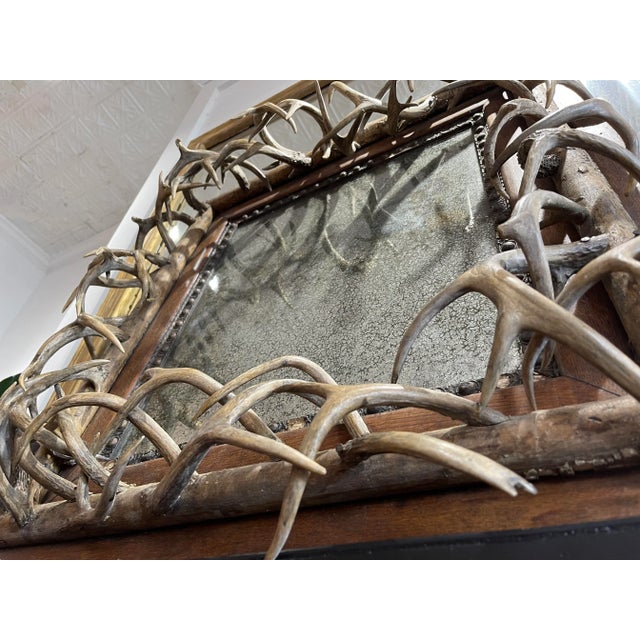 1800s Black Forest German Mirror With Roe Deer Antlers For Sale - Image 4 of 13