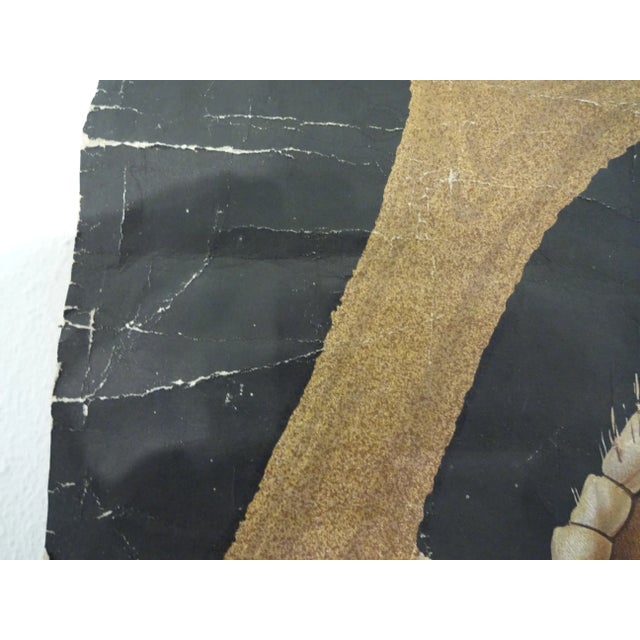 Brown Austrian Educational Charts from Jung, Koch & Quentell, 1960s, Set of 4 For Sale - Image 8 of 18