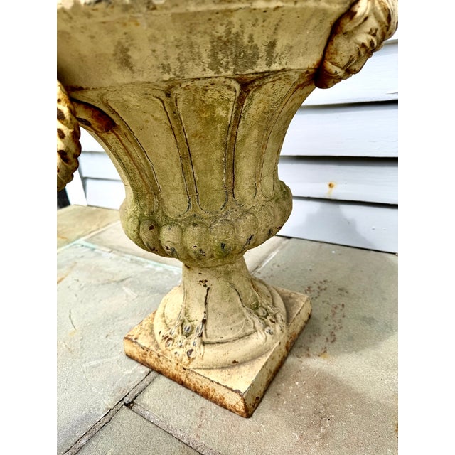 White Pair 19th Century White Painted Cast Iron Garden Urns With Ring Handles and Masks For Sale - Image 8 of 17