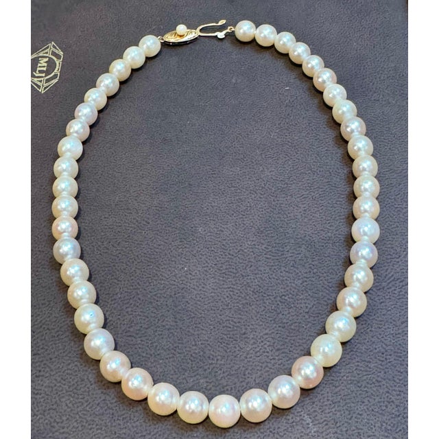 Vintage Cultured Akoya Pearl Necklace Length 14" , 18 Karat Yellow Gold Clasp For Sale - Image 17 of 18