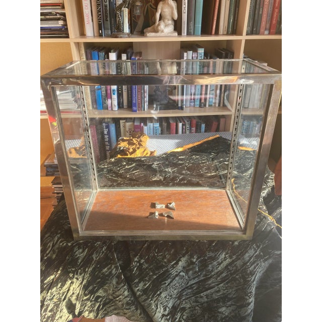 Small French Exhibition Showcase from Siegel For Sale - Image 9 of 15