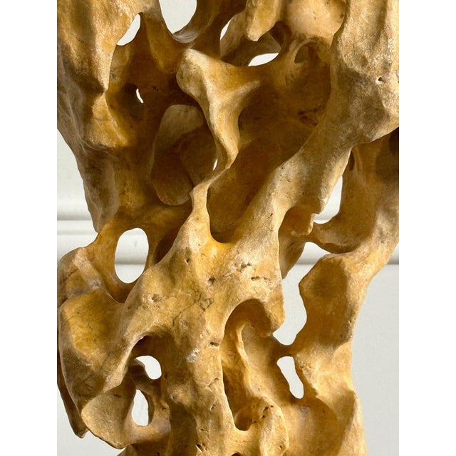 Extraordinary Large Chinese Scholar Rock Yellow Taihu Stone on Wood Stand For Sale - Image 9 of 18