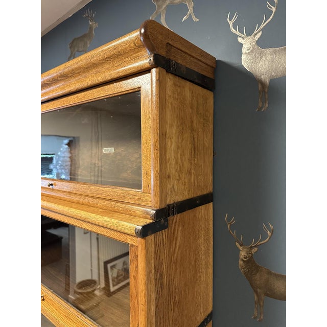 Antique Bookcase from Globe Wernicke, 1890s, Set of 12 For Sale - Image 12 of 12