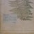 1940s Pair of Framed Swiss Herbarium Fern Facsimile Prints, 1948 & 1953 Specimens For Sale - Image 5 of 8