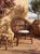 This elegant mid-century Italian armchair is expertly crafted from curved bamboo in warm brown tones. The main structure...