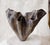 Flourish Vase III For Sale - Image 9 of 11