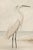 Elegant coastal artwork featuring a white egret standing in shallow shoreline water against a soft, muted horizon. The...