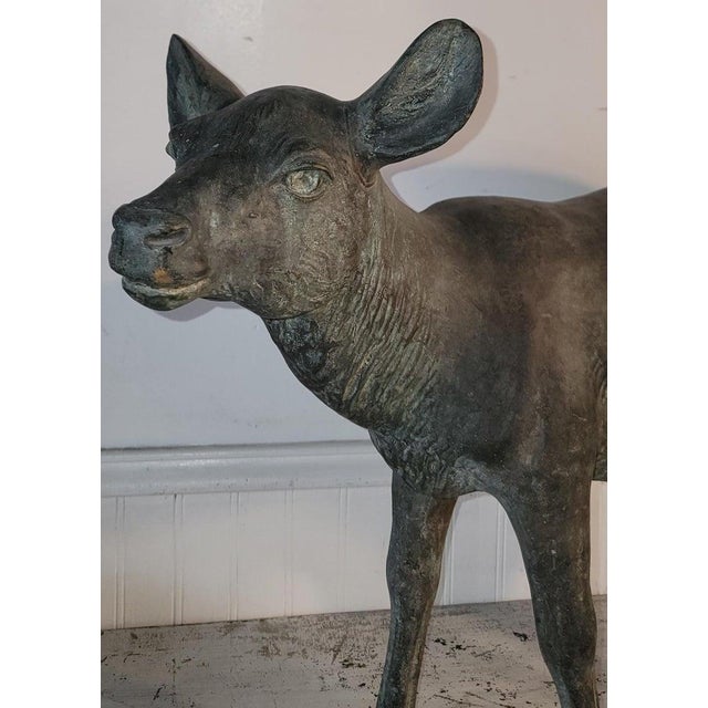Folk Art 20th Century Bronze Deer Statue W/ Amazing Patina For Sale - Image 3 of 8
