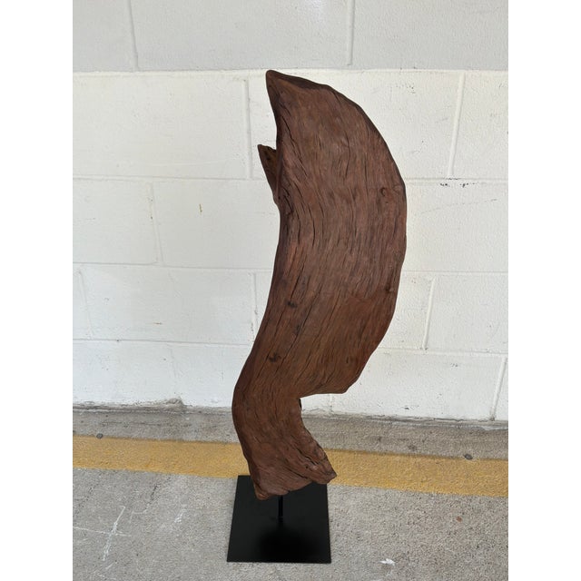 Contemporary Arteriors Organic Modern Natural Teak Kazu Sculpture For Sale - Image 3 of 5