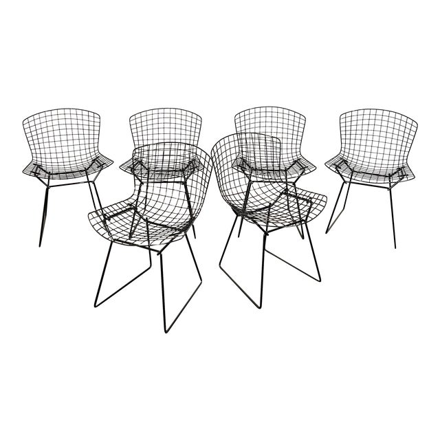 Set of 6 Black Knoll Bertoia Chairs Fresh Powder Coat Like New Chairish