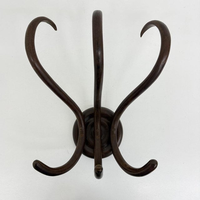Wood Antique Bentwood Wall Mounted Coat Rack, 1930s For Sale - Image 7 of 18