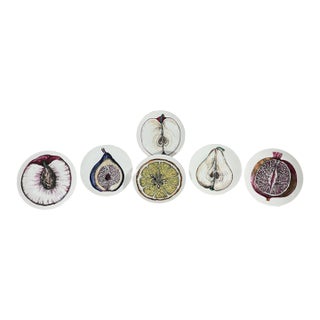 Nature Dissected: Set of Six Fornasetti "Sezioni Di Frutta" Plates Circa 1960s For Sale