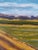 Contemporary Contemporary Landscape Oil Painting: "Fields at Upper Shirley" For Sale - Image 3 of 4