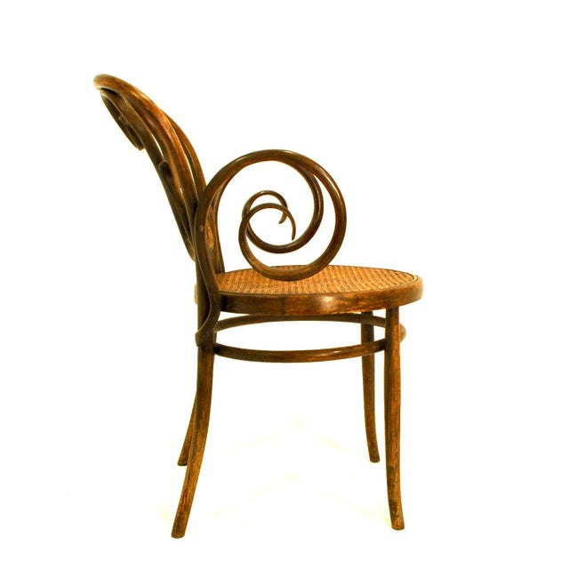 Mid 20th Century Bentwood Arm Chair With Caned Seat by Salvatore Leone For Sale - Image 4 of 8