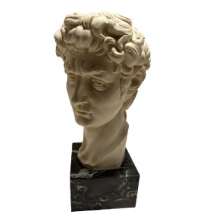 Classic Roman Bust of David by Ruggeri Italy For Sale