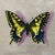 This artwork depicts a vibrantly colored swallowtail butterfly, its intricate patterns and striking yellow and blue hues...