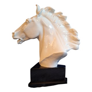 Horse Head Sculpture in White Glazed Porcelain on Black Base by Erich Oehme for Meissen, 1970s For Sale