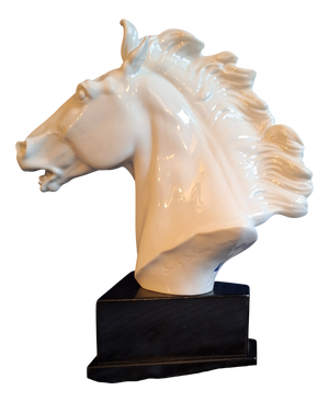 Horse Head Sculpture in White Glazed Porcelain on Black Base by Erich Oehme for Meissen, 1970s