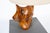 Freeform Table Lamp in Hand-Carved Olive Wood, France, 1950s For Sale - Image 4 of 8