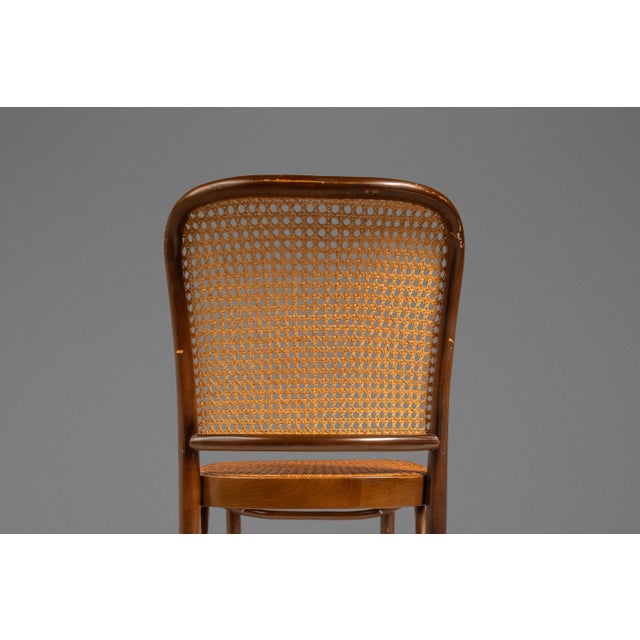 Brown Single Patinaed Bentwood Prague Model 811 Side Chair by Josef Frank for Stendig W/ Original Cane Seat & Back, Poland, C. 1960s For Sale - Image 8 of 18
