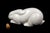 Reclining Rabbit in Cream Crackle-Glazed Earthenware by Charles Lemanceau for Saint-Clément, France, 1930s For Sale - Image 10 of 13
