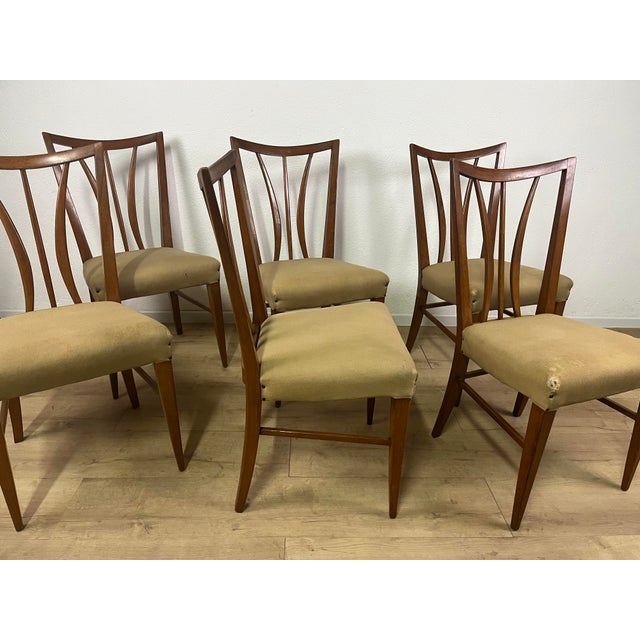 Bentwood Chairs from Tempestini, 1950s, Set of 6 For Sale - Image 4 of 9