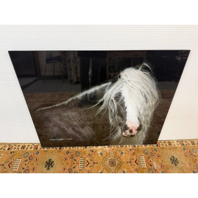 Realism Terry Kirkland Cook Bombshell a Gypsy Vanner Acrylic Print For Sale - Image 3 of 12