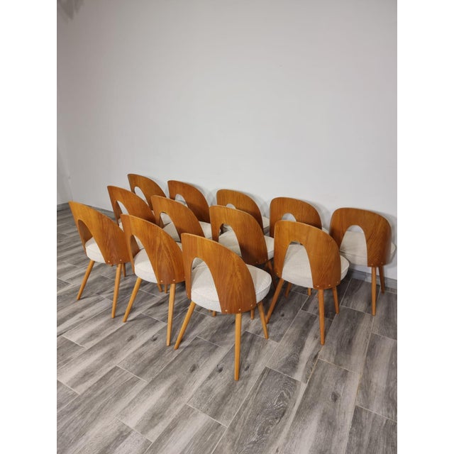 Dining Chairs from Antonin Suman, 1960s, Set of 12 For Sale - Image 17 of 18