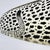 Large Mid-Century Modern Resin Leopard by Abraham Palatnik, Brazil, 1970s For Sale - Image 13 of 18