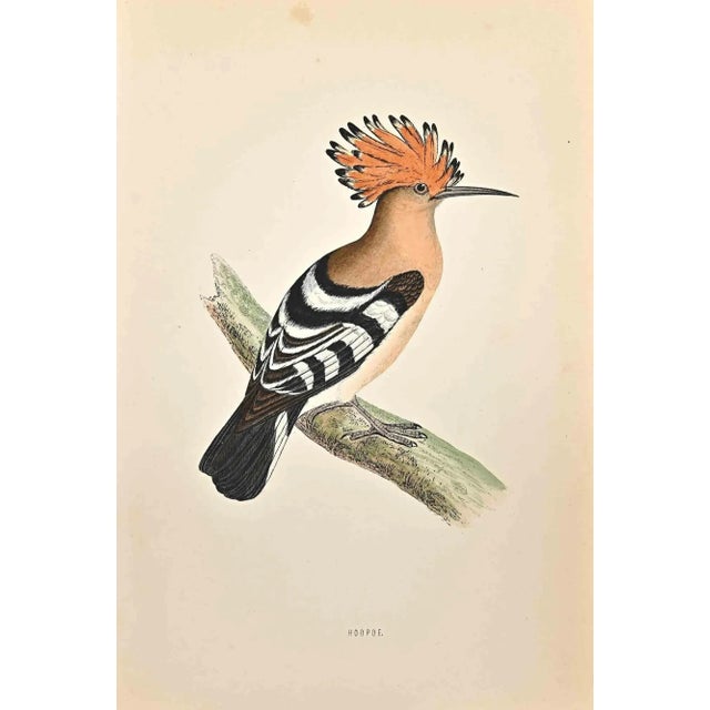 Hoopoe is a modern artwork realized in 1870 by the British artist Alexander Francis Lydon (1836-1917). Woodcut print on...