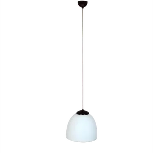 Opaline Glass and Bakelite School Light, 1950s